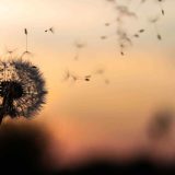https://rdp.bg/wp-content/uploads/2018/09/post_02-160x160.jpg